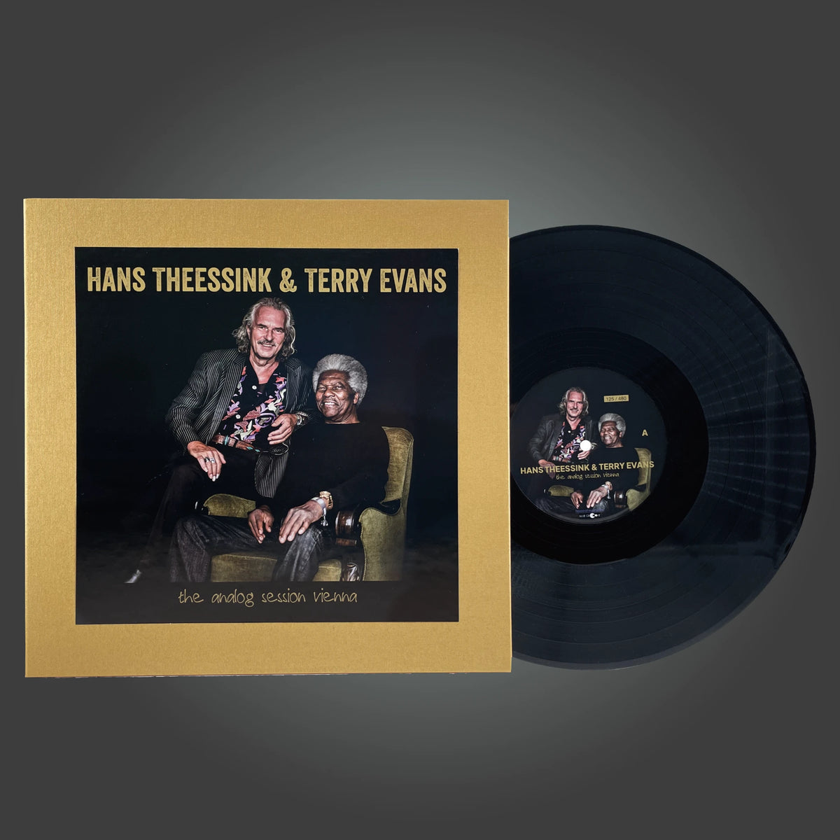 Hans Theessink & Terry Evans - the analog session vienna (One Step Vinyl)