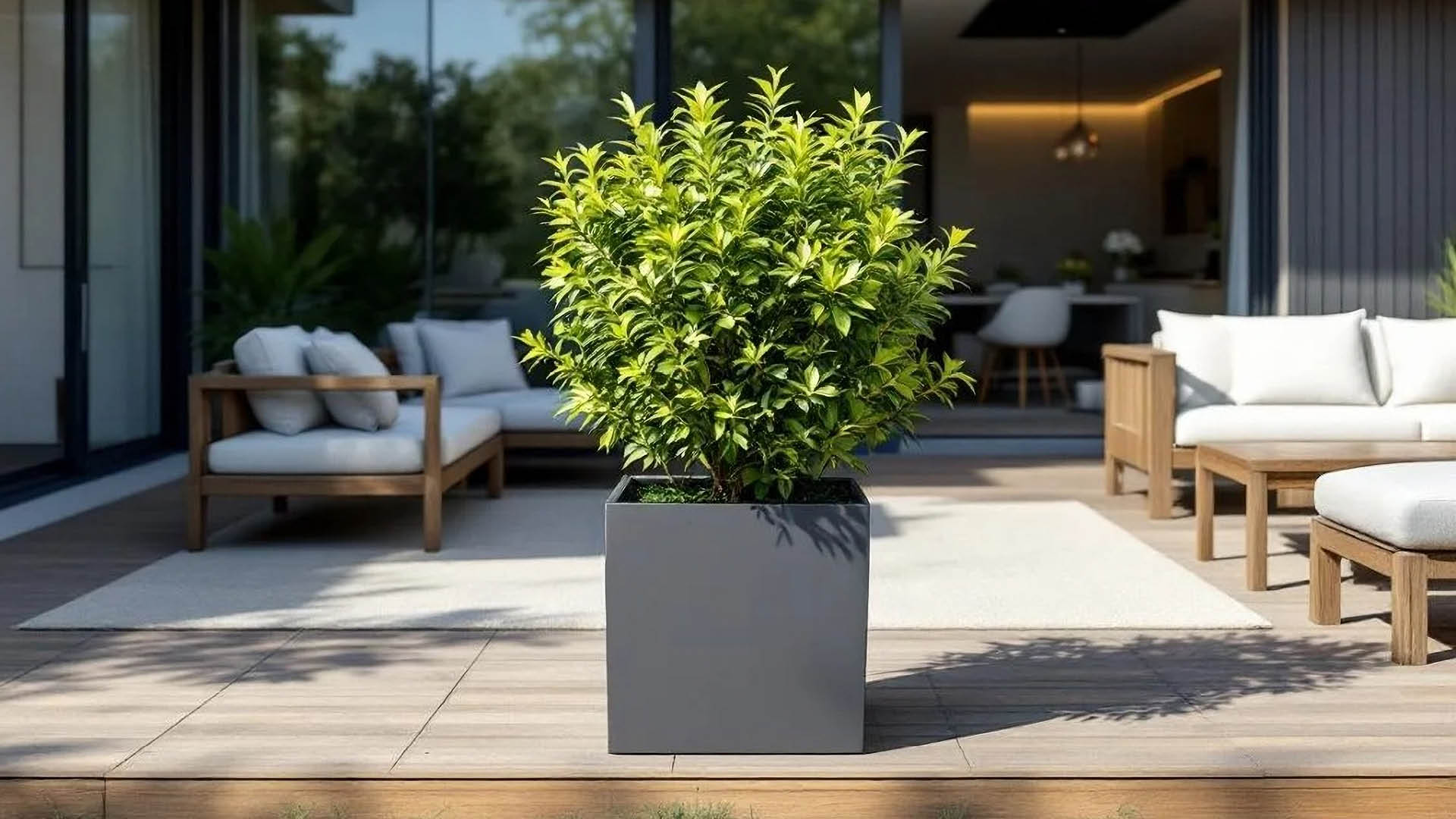 Revox-Botanic-Outdoor-Terrasse_web