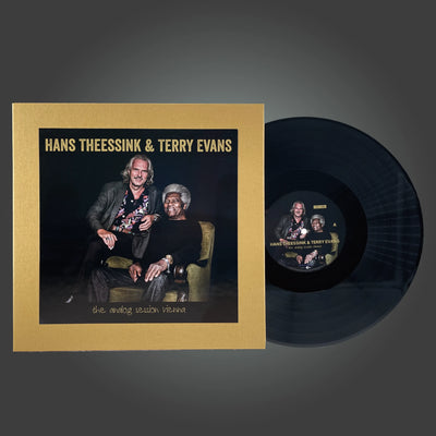 Hans Theessink & Terry Evans - the analog session vienna (One Step Vinyl)