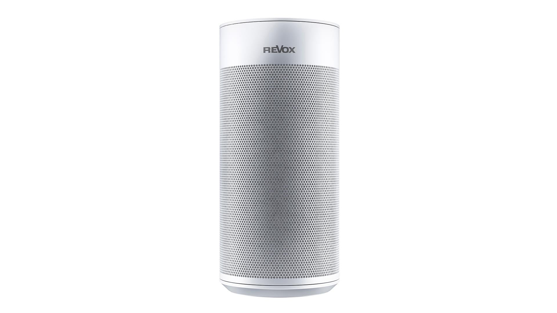STUDIOART P100 Room Speaker