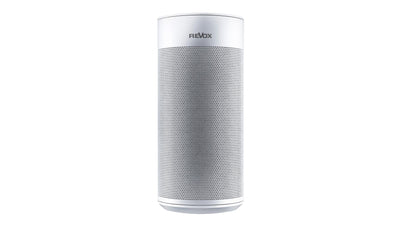 STUDIOART P100 Room Speaker