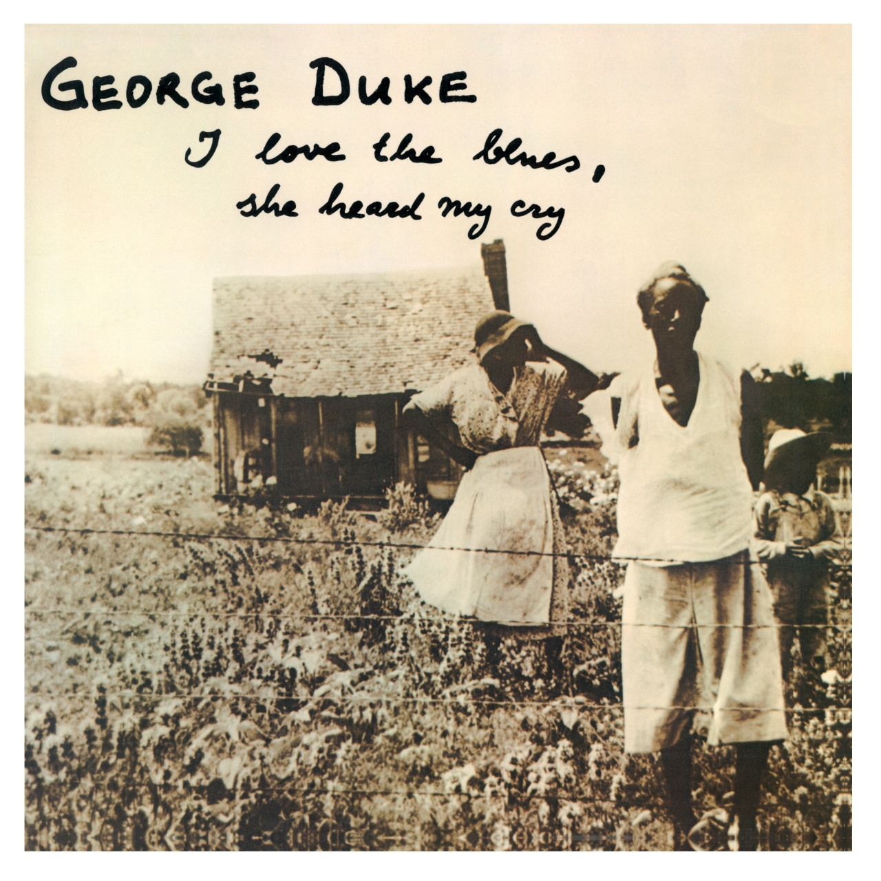 George Duke - I Love The Blues - She Heard My Cry